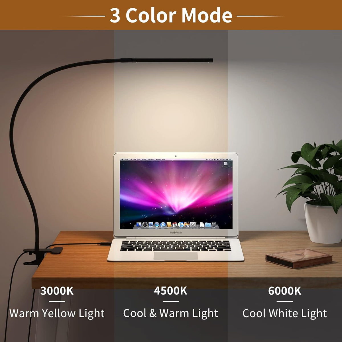 LED Desk Lamp [77 LEDs Light 3 Color Modes