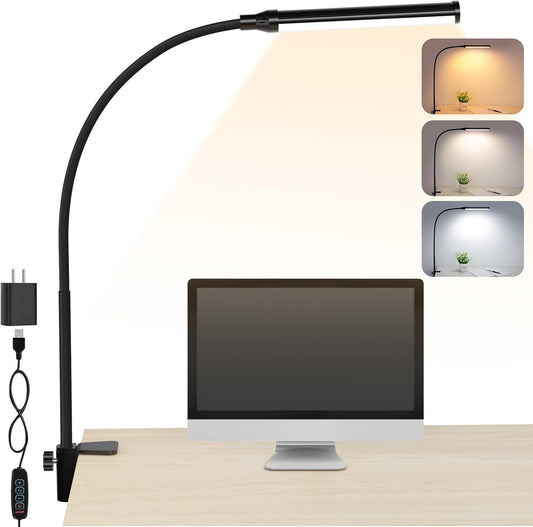 LED Desk Lamp with Clamp