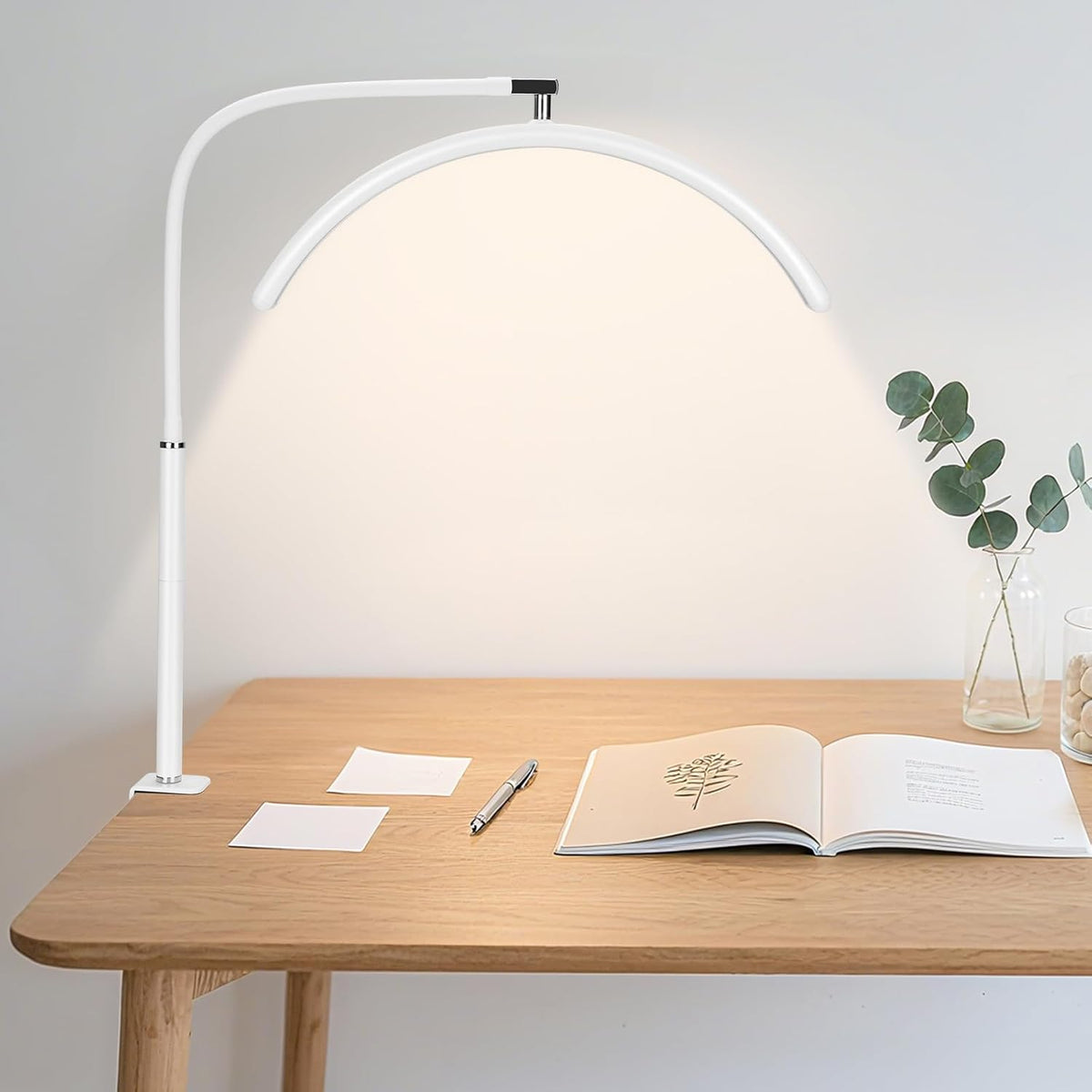 Professional Half Moon LED Desk Light