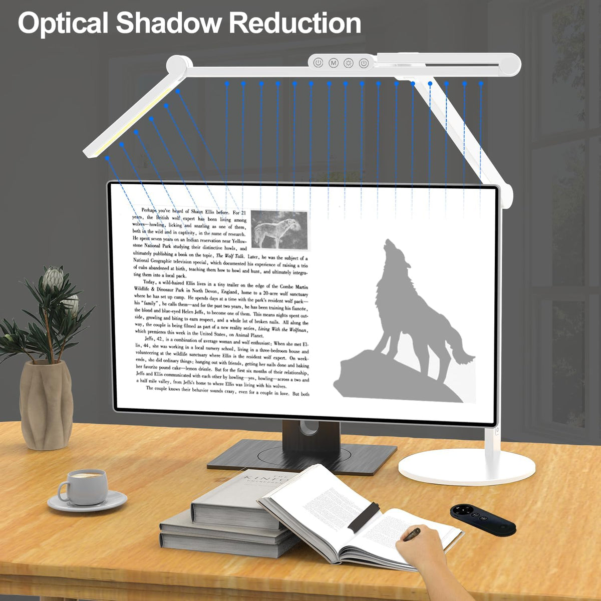 Architect Desk Lamp