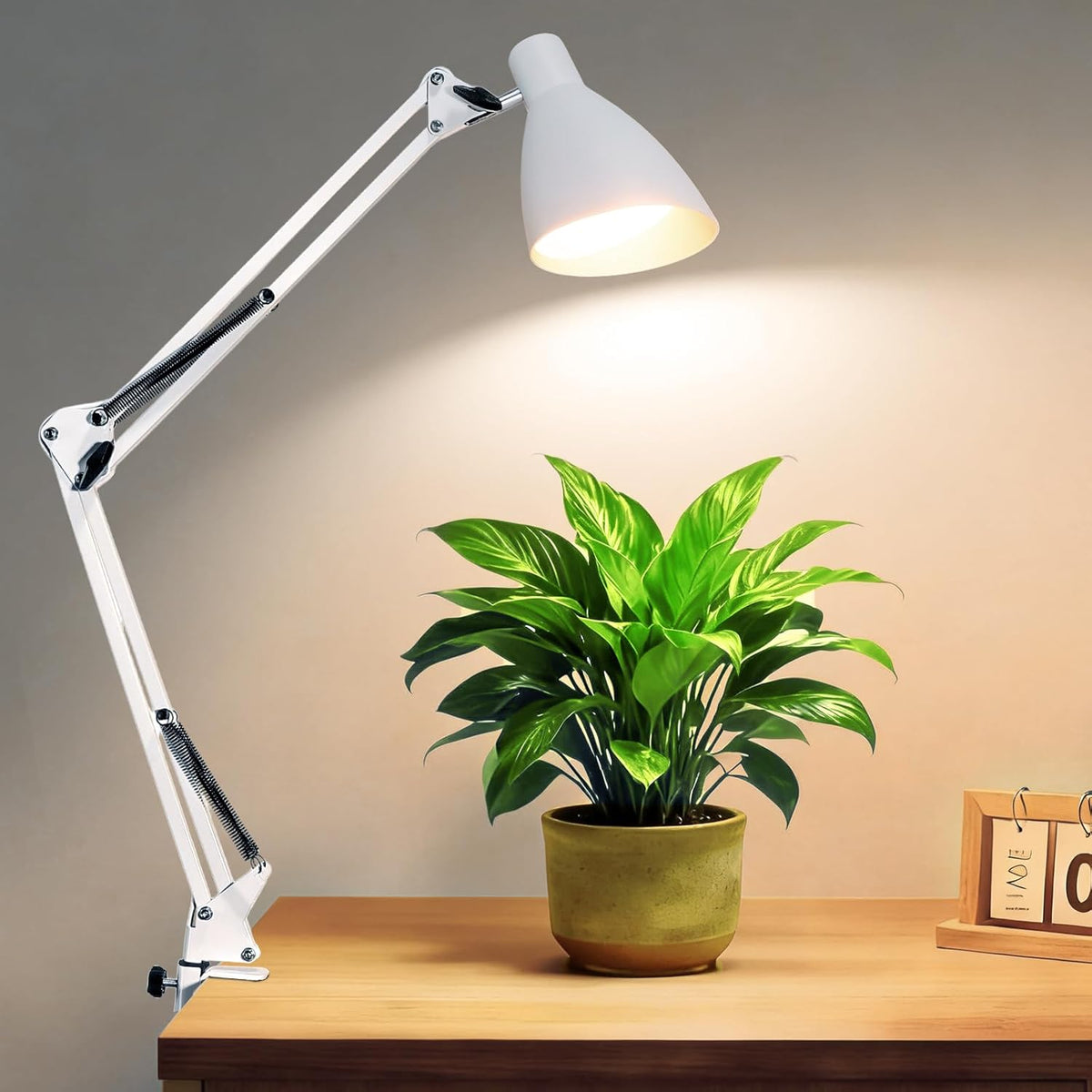 Led Desk Lamp, White