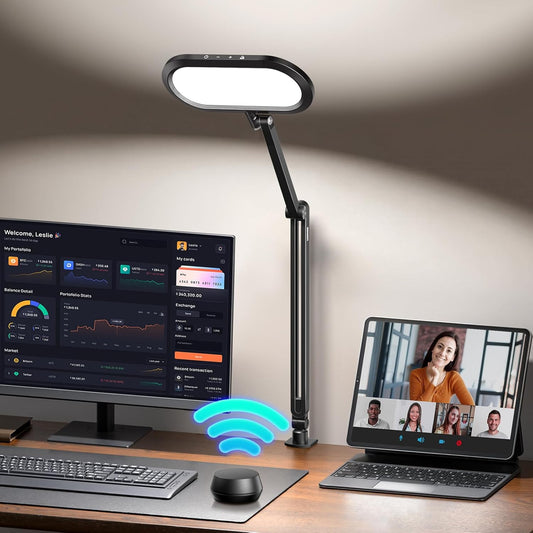 LED Desk Lamp