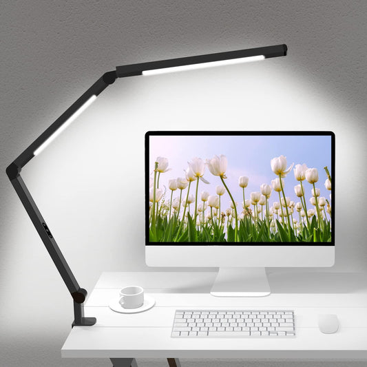 LED Desk Lamp with Clamp