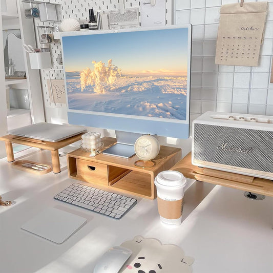 Dual Monitor Stand Riser with Drawer