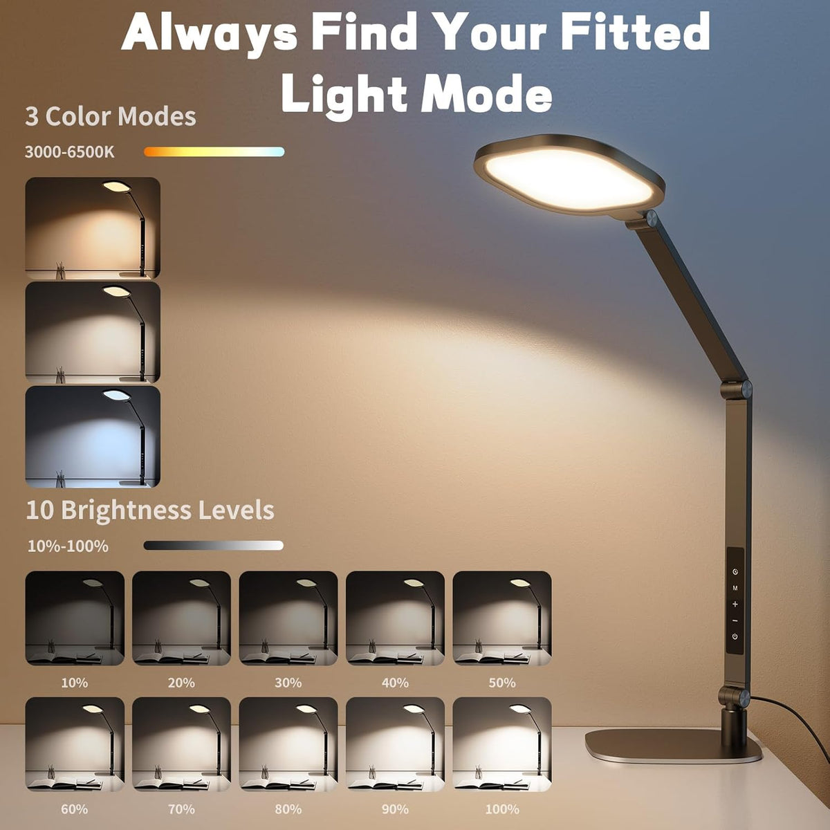 LED Desk Lamp