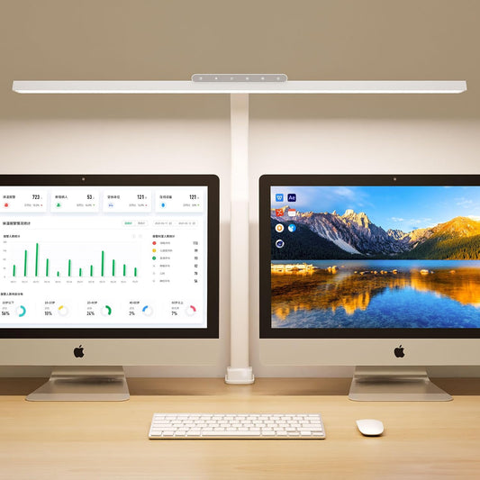Desk Lamp with Clamp