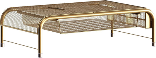 Ryder Gold Mesh Metal Desktop Monitor Stand Riser with Organizer