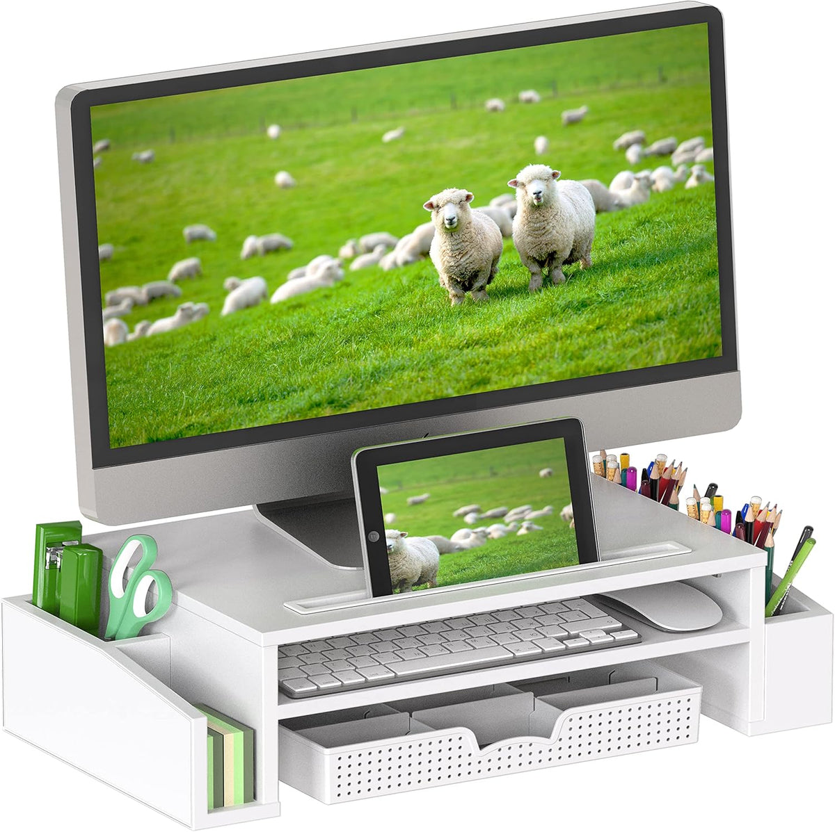 Desk Monitor Stand Riser with Adjustable Organizer Tray, White